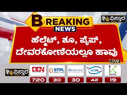 ಸಾಂಸ್ಕೃತಿಕ ನಗರಿ ಮೈಸೂರಿನಲ್ಲಿ ಹಾವುಗಳ ಆತಂಕ | Rain in Mysore | Vistara News