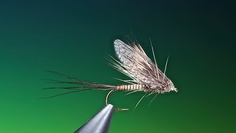 Fly Tying a Muddler Mayfly dry fly with Barry Ord Clarke