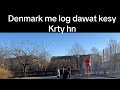 Denmark me log dawat kesy krty hn  mini vlog  life in denmark