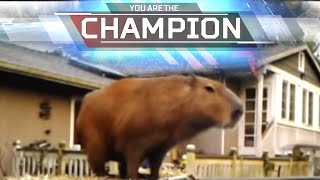 CHAMPION CAPYBARA | Apex Legends