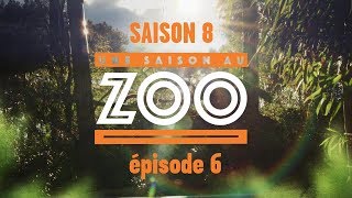 Une Saison au Zoo S8 - EP 06