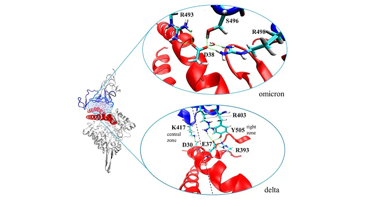 RITR: Probing the Chemistry of COVID-19 Severity U...