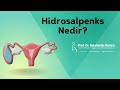 Hidrosalpenks Nedir? / Prof. Dr. Selahattin Kumru Bilgilendiriyor