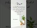 Hazrat Ali R.A quotes#ALLAH#shortsfeed#viralshirts#trending#urduquotes#hazrat Ali R.A