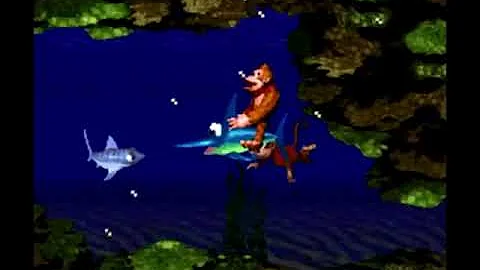 ✨ 10 Hours of Donkey Kong Country - Aquatic Ambiance | Relaxing Super Nintendo Music | SNES Music ✨