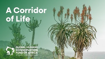 World Rewilding Day and the Creation of a Biodiversity Corridor in South Africa