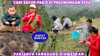 BEGINI CARA KAMI AWETKAN SAYUR PAKIS DI CHINA