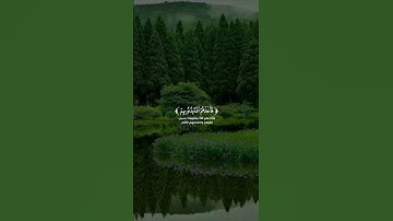 تلاوة من سورة غافر الاية 21