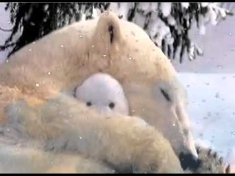 ПЕСНЯ МИШКИ ЗАПЛУТАЛИ МИШКИ СКАЧАТЬ БЕСПЛАТНО ПЕСНЯ МИШКИ ЗАПЛУТАЛИ МИШКИ СКАЧАТЬ БЕСПЛАТНО