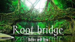 Living Root Bridge Mawlynnong | Shillong | Meghalaya vlog | Northeast India | Bengali travel vlog