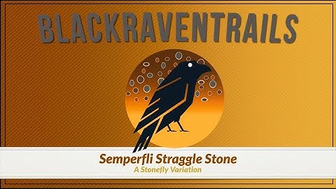 How to Fly Tie SS Stonefly! #flyfishing #fishingvideo #fishing #fish #flytying