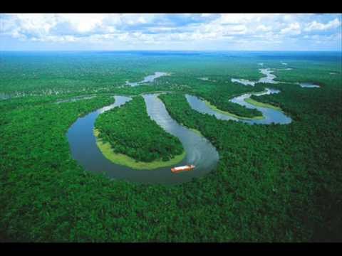 Defrisare masiva - Padurea Amazoniana