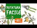 POTATURA FACILE [con Pietro Isolan e Matteo Cereda]