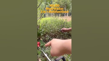 RGL100 Weed Wacker  #diy #garden  #weedwacker #stringtrimmer #lawnmower #powertools #Reindeertools