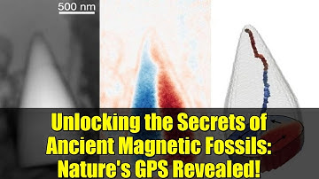 Unlocking the Secrets of Ancient Magnetic Fossils: Nature