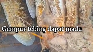 Dapat Madu Tobrut Kawan Seperti Istri Tetangga