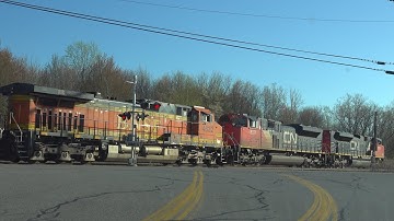 Chasing CN CN UP BNSF NS Train! Plus The Amtrak Big Game Train! Same Engine On 2 Different Trains!