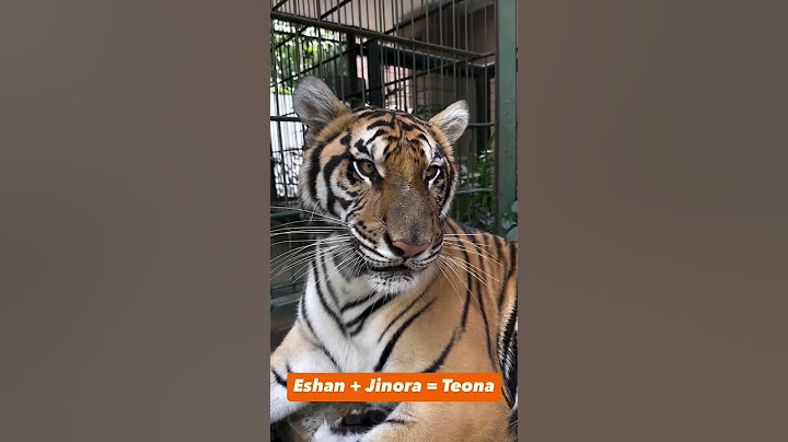 TEONA BERUBAH JADI KALEM SEPERTI SELEN GUYS😱
