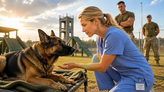 The K9 Was Marked for Death — Until One Nurse Said the Words Only a Dead Man Knew