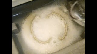 「泡で排水溝を掃除しよう」