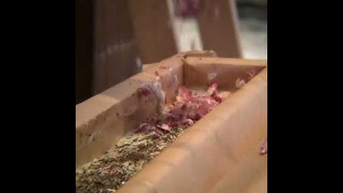 BATCH soap making - Adding Organic Roses & Patchouli to poured Soap