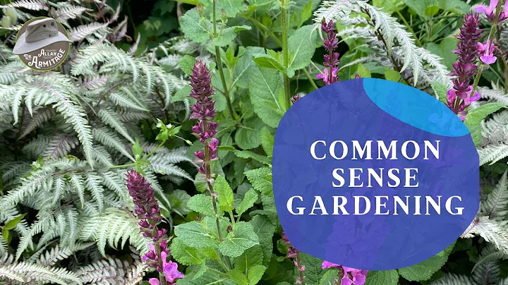 Common Sense Gardening: Cleaning the Garden