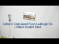 Geberit Concealed Flush Leakage Fix / Clean Cistern Tank