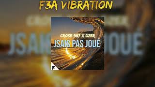 Video thumbnail of "Pierpoljak - Je sais pas jouer [Crose 987 x dzer remix] 2020"