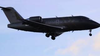 Striking Private Challenger 604 landing into wellington airport