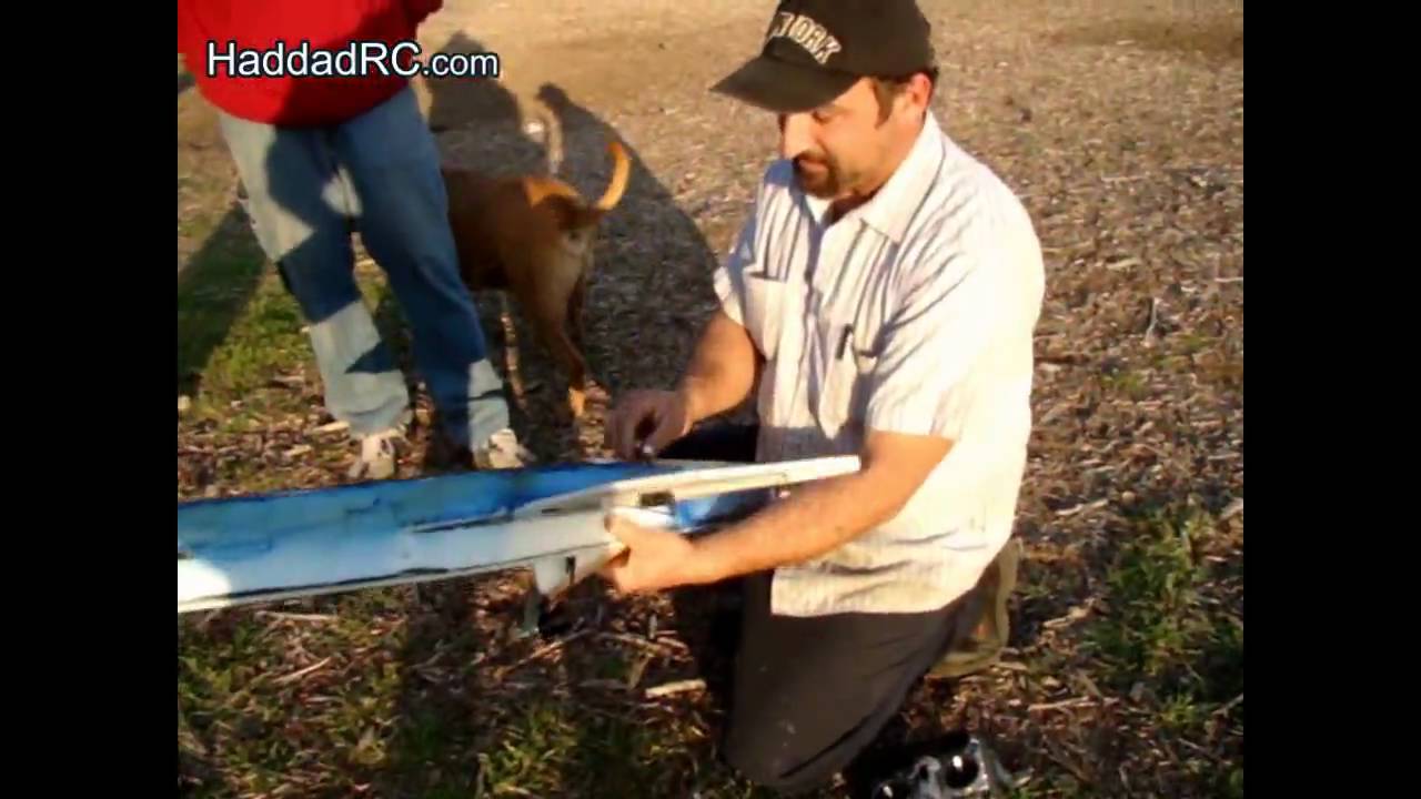 Swept-back Wing RC Jet by HaddadRC