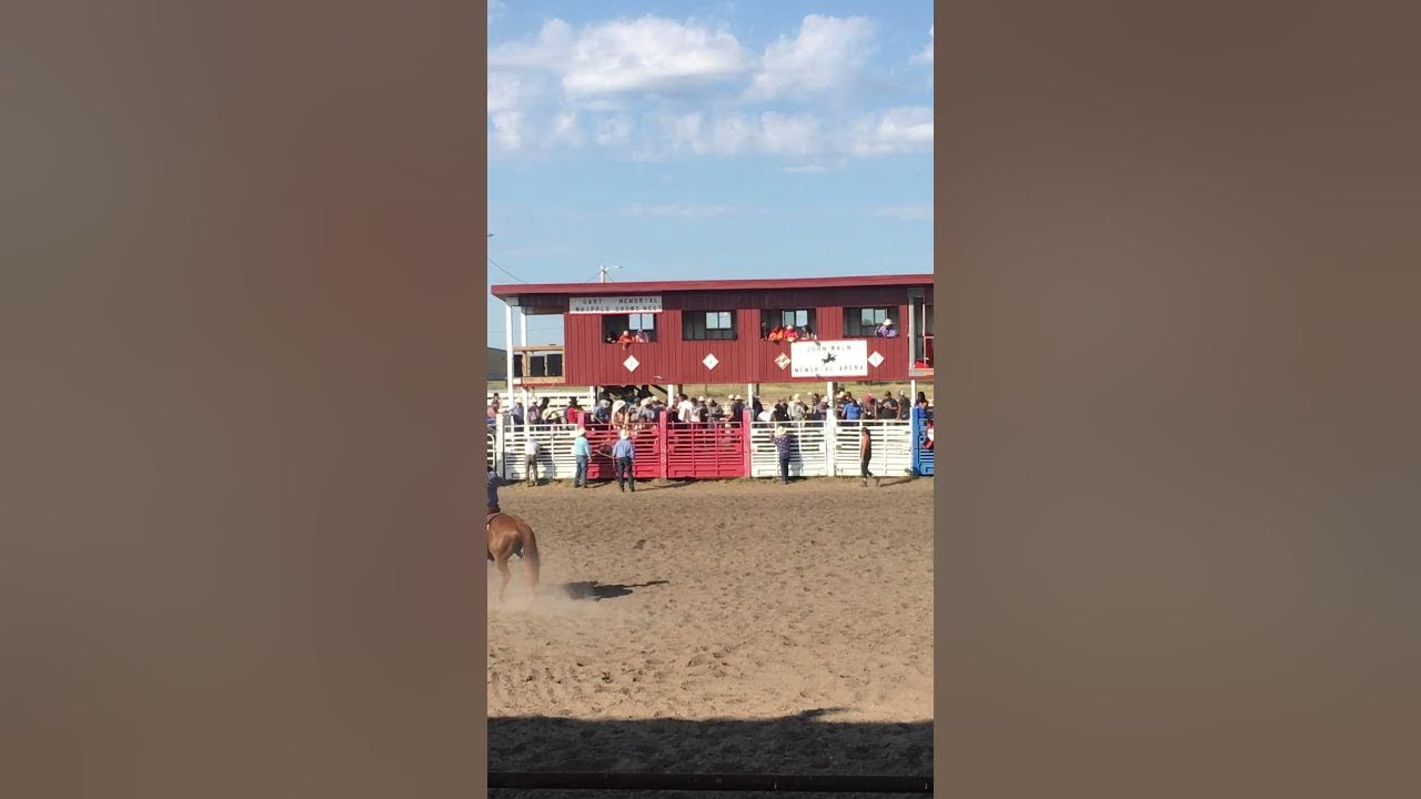 Wild ride rosebud fair YouTube