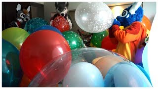 Four Furries Blow to Pop Balloons!