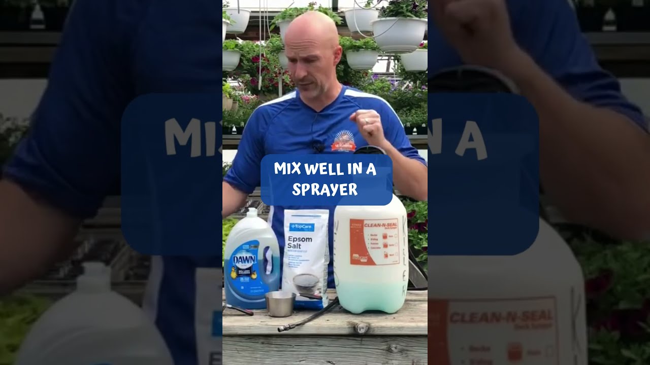 Homemade Weed Killer That Really Works Weedkiller Diy