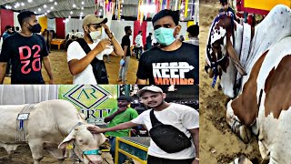 Sohrab Goth Cow Mandi | Mandi Scenz 🐂 | Karachi Cow Mandi 2021 | Sunday Vlog