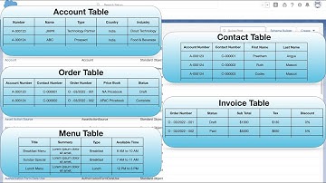 What are Salesforce Object types | Salesforce Data types | Creating a restaurant application Part 1