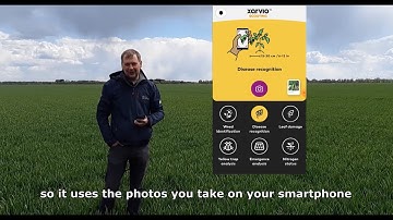 UK VLOG #3: In-field with xarvio SCOUTING – The Assistant in Your Pocket