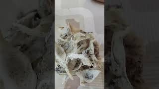 Download Lagu Penimbangan sarang burung walet  yang super | #viralkan #viraltiktok #viral MP3 Download Lagu Penimbangan sarang burung walet  yang super | #viralkan #viraltiktok #viral MP3