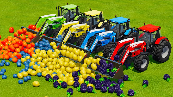 LOAD AND TRANSPORT FRUITS WITH CASE TRACTORS - Farming Simulator 22 - DayDayNews