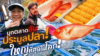 ตลาดปลาญี่ปุ่น ใหญ่ที่สุดในโลก! พาเซียนหรั่งบุก โทโยซุ เข้าตลาดลับเจอแต่ของหายาก [สาระตั้ม-Thumbntk]