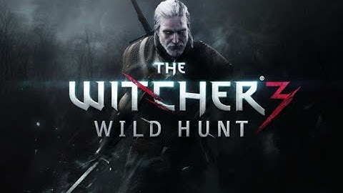 The Witcher 3 - Contract: Missing brother (Boss 3 shot)