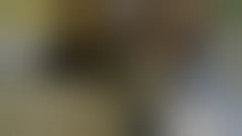 The Vision: Persecuted Coptic Christians in Egypt