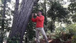 Pastor Solitario Ega7
