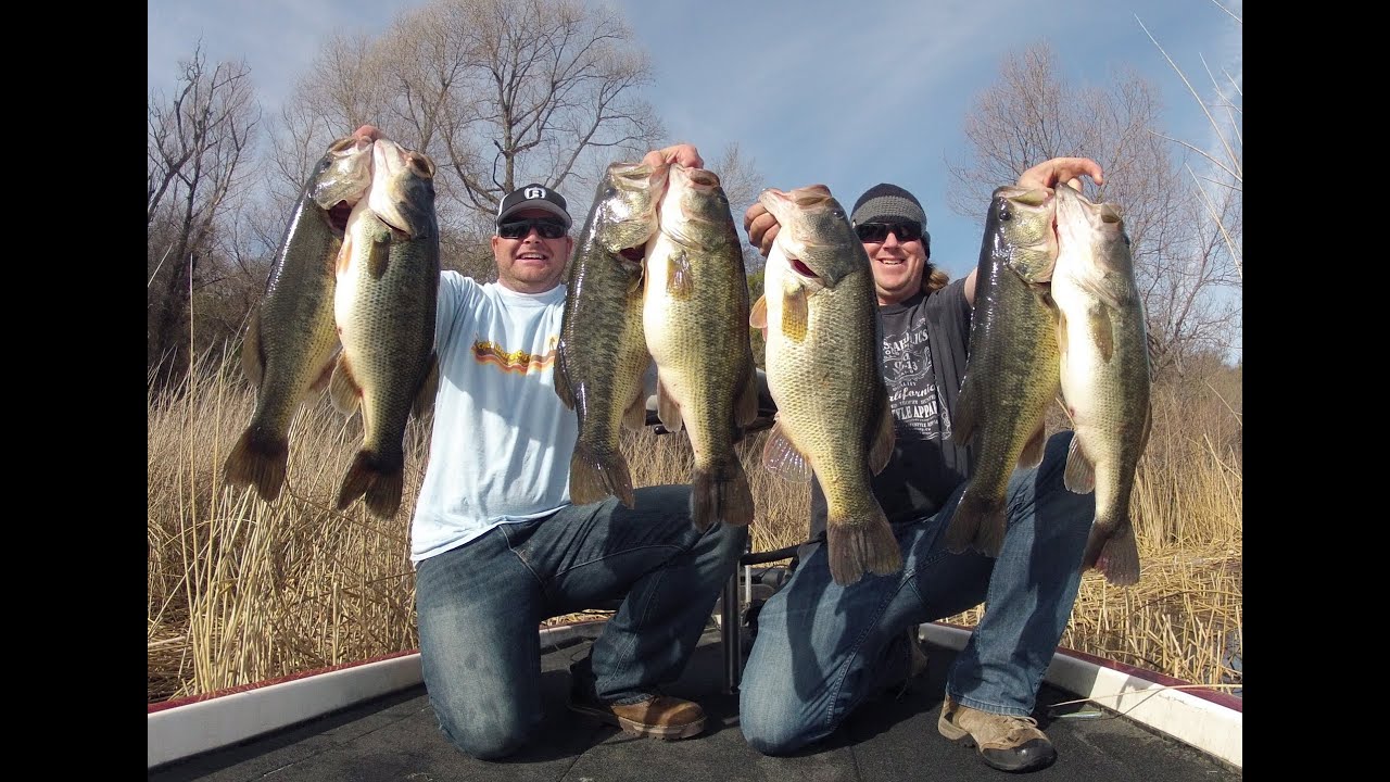 Monster Limit on the River2Sea S-Waver 