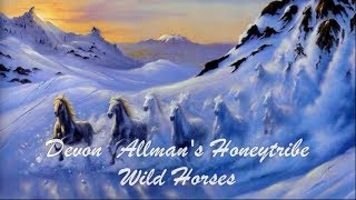 Devon Allman's Honeytribe - Wild Horses (The Rolling Stones)