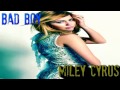 Miley Cyrus (New song 2011)