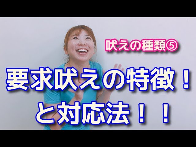 吠えの種類 要求があって吠える特徴と対応方法 犬のしつけ 横浜 By遠藤 エマ トレーナー Youtube