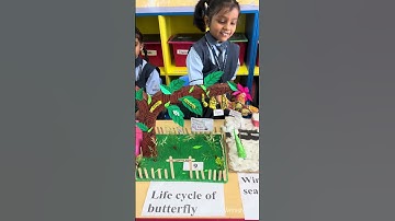 Life Cycle Of A Butterfly🦋 3D Model For School | Butterfly Life Cycle School Science Project🌸 #yt