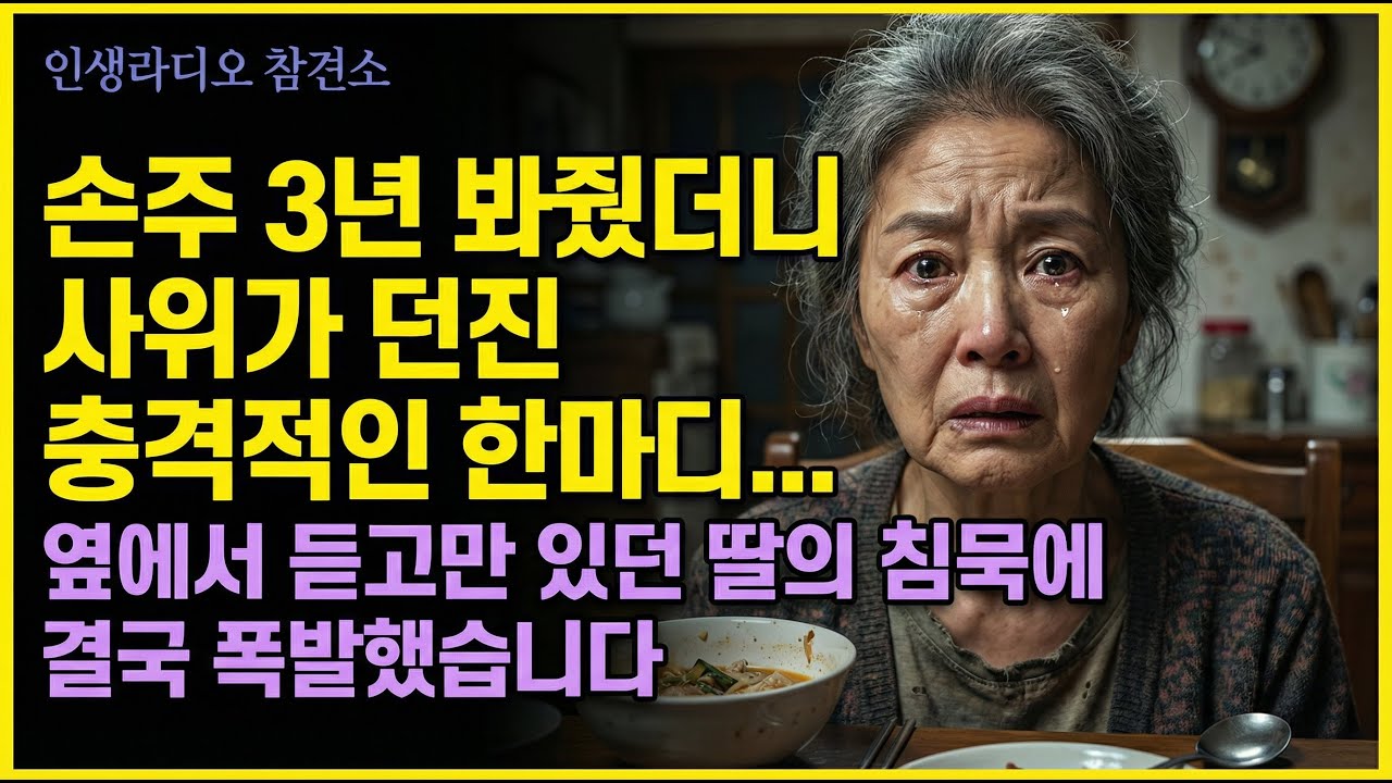 손주 3년 봐줬더니 사위가 던진 충격적인 한마디... 옆에서 듣고만 있던 딸의 침묵에 결국 폭발했습니다｜인생라디오 참견소