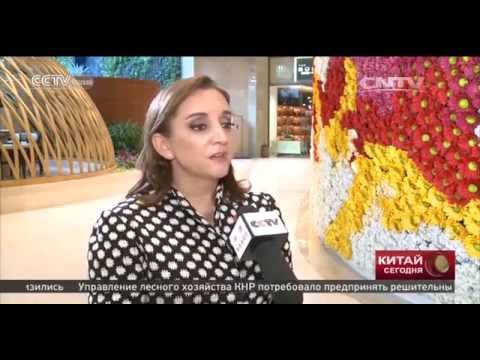 Китай призывает ускорить создание ЗСТ Азиатско-Тихоокеанского сотрудничества