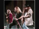 SIMPLE MAN - LYNYRD SKYNYRD / CLASSIC SOUTHERN ROCK / IN MEMORY OF RONNIE VAN ZANT